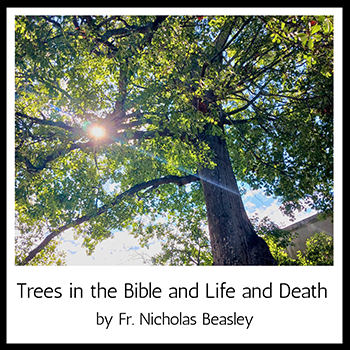 Trees in the Bible, and Life and Death